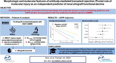 Morphologic and Molecular Features of Antibody-Mediated Transplant Rejection: Pivotal Role of Molecular Injury as an Independent Predictor of Renal Allograft Functional Decline